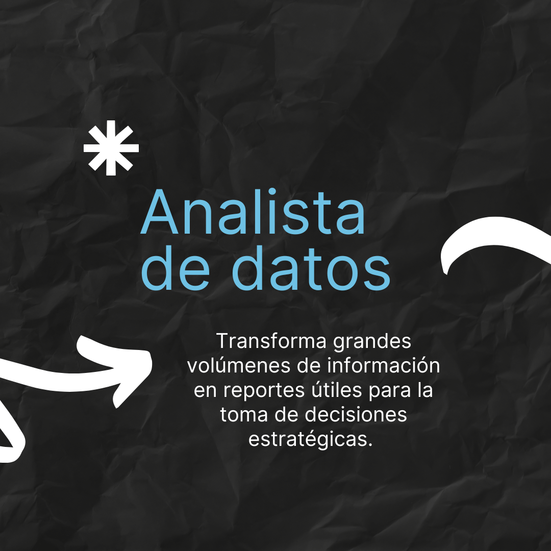 Rol del Gestor de Información
