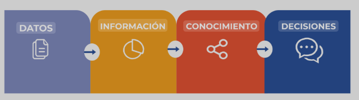 Domina la Información: Herramientas de Gestión Esenciales