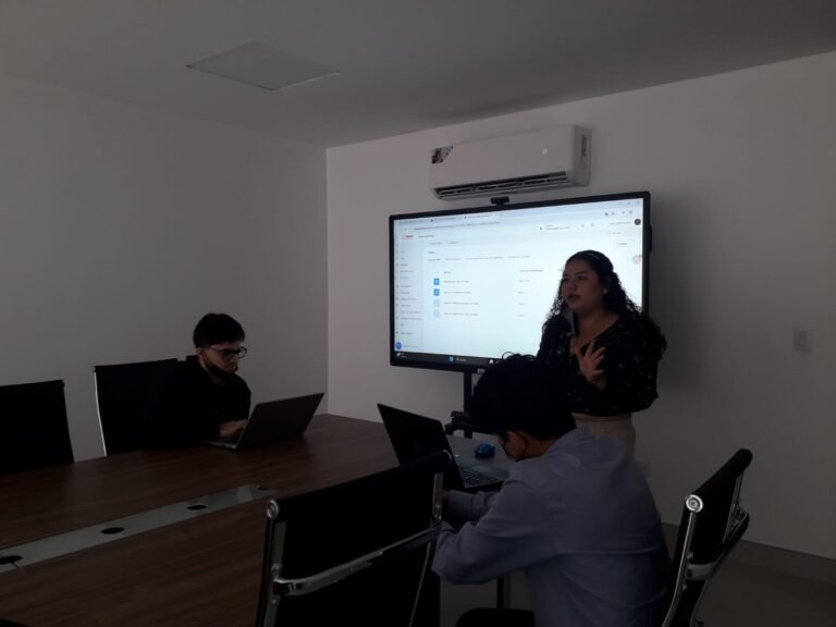 Prácticas preprofesionales de gestión de información gerencial