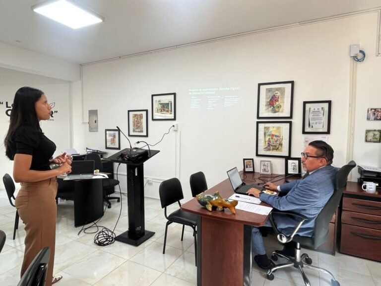 Prácticas preprofesionales de gestión de información gerencial