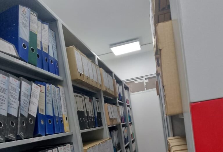 Prácticas preprofesionales de gestión de información gerencial