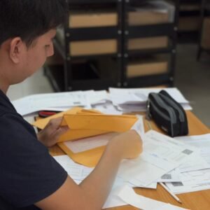 Prácticas preprofesionales de gestión de información gerencial